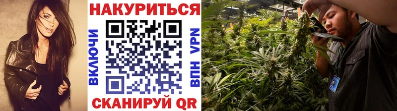 Шишки марихуана планчик Волгоград